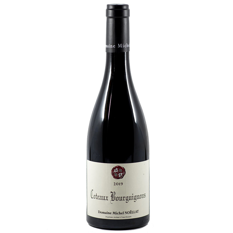 Domaine Michel Noellat Coteaux Bourguignons 2019